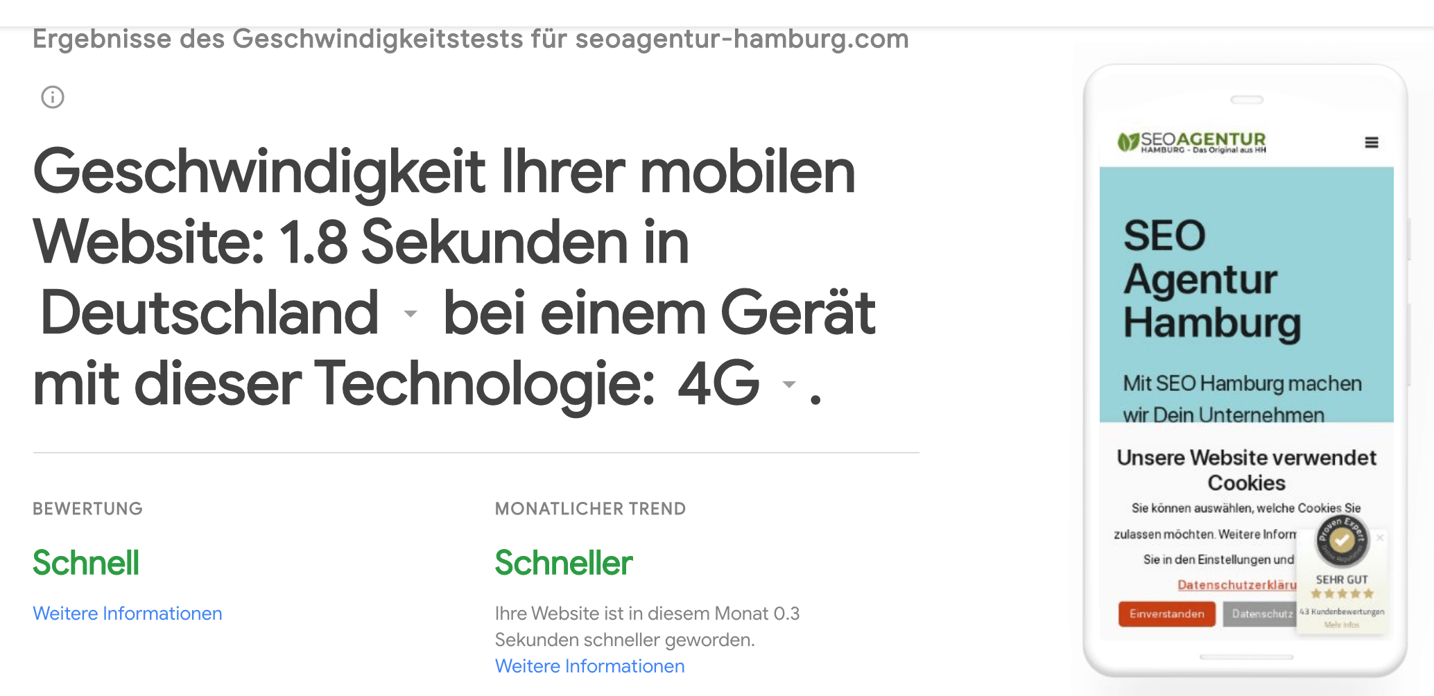 Der mobile Pagespeed der Website der SEO Agentur Hamburg unter einer 4G-Verbindung.