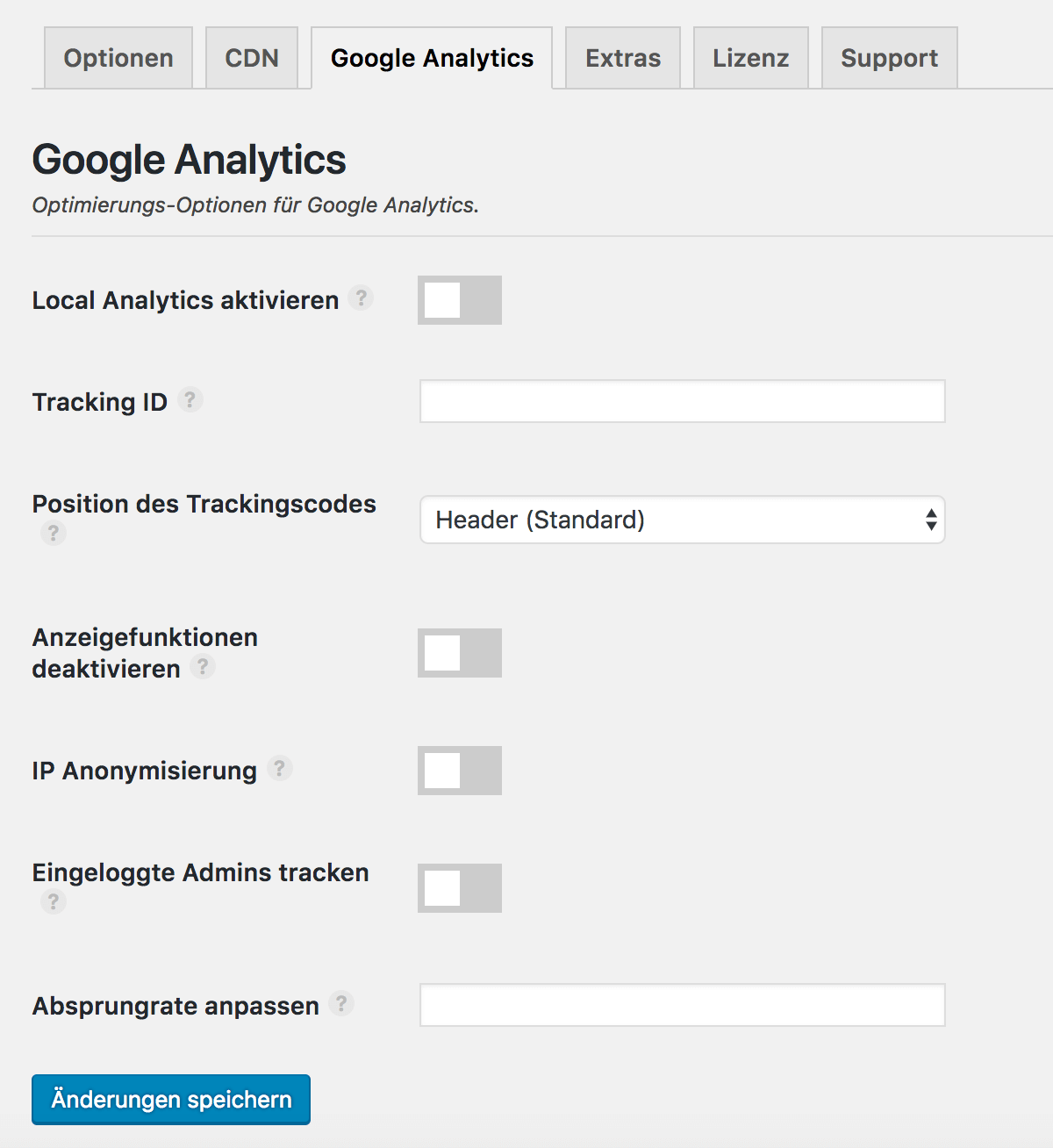 Die Perfmatters Google Analytics Optionen